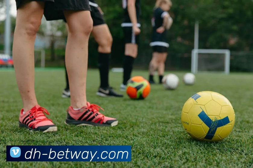 多媒体互动体验